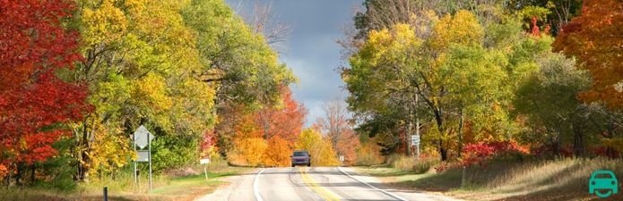 Car on road on autumn weather