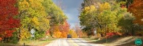 Car on road on autumn weather