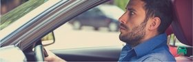 Having a Spider in Your Car Could See You Banned 