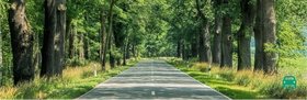 Springtime drives