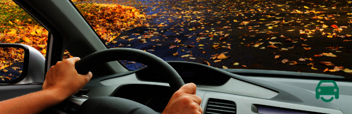 Autumn Driving Safety Tips