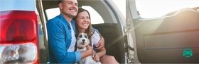 How to Keep Your Dog Cool When Travelling 