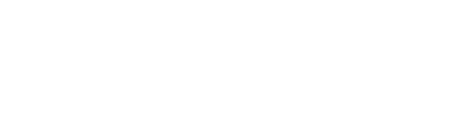 The Motor Ombudsman